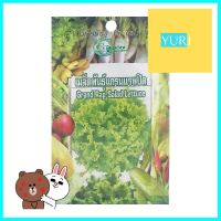 เมล็ดผักสลัดแกรนด์แรปิดส์ GREEN GARDEN 2 กรัมGRAND RAPIDS LETTUCE SEEDS GREEN GARDEN 2G **คุ้มที่สุดแล้วจ้า**