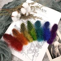 Colorful Guinea Fowl Feathers Pheasant Jewelry Handicrafts Accessories 5-10cm Small Feather Wedding Decoration