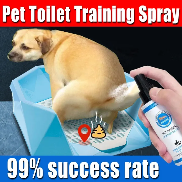 Pet Potty Spray dog toilet training Spray position train Guide fixed