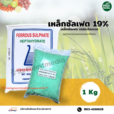 เหล็กซัลเฟต 19.7% Fe (Ferous Sulfate Heptahydrate)   บรรจุ 1 กิโลกรัม
