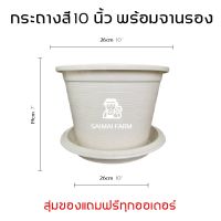 กระถางกลมสีขาว 10 นิ้ว พร้อมจานรอง (พลาสติก) | White round pot 10 inches with saucer (plastic)