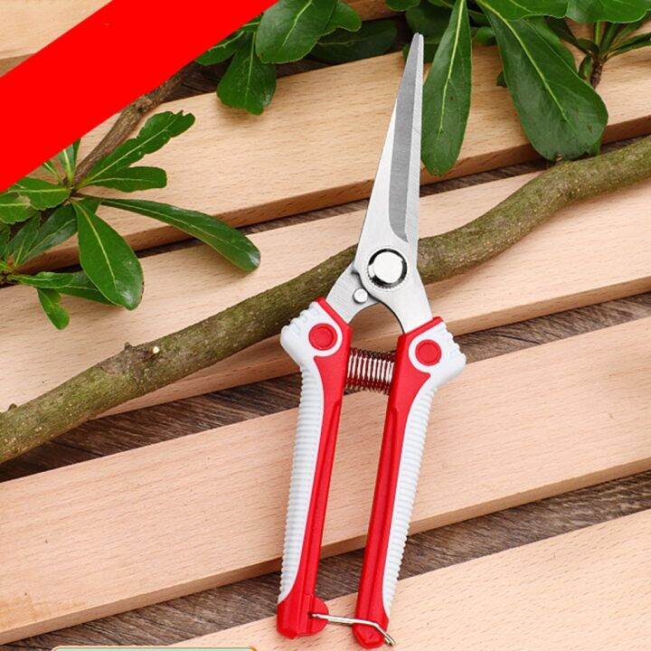 pruner-ใบมีดตรงสแตนเลสกรรไกรตัดแต่งกิ่งด้วยมือกรรไกรจัดสวนคมพิเศษสำหรับการเก็บเกี่ยวดอกไม้