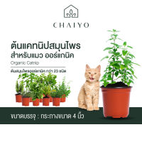 ต้นสมุนไพรออร์แกนิค กว่า 23 ชนิด and Organic Herbs 23 varieties กระถาง 4 นิ้ว Pot 4"