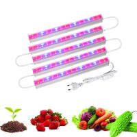 T5 Tube Phytolamp for Plants 85-265V 6-30W Red Blue LED Grow Light Phyto Lamp Full Spectrum Grow Lights for Plants Grow Tent Box