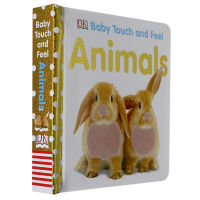 Dk Baby Touch and Feel Childrens Book