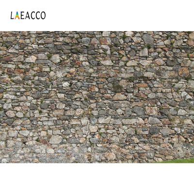 【⊕Good quality⊕】 liangdaos296 Laeacco กำแพงหินพื้นหลังแนวกรันจ์แนววินเทจฉากหลังถ่ายภาพฉากหลังโฟโต้โซนโฟโต้คอลสำหรับสตูดิโอถ่ายภาพ
