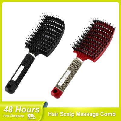 【CC】 Hair Scalp Massage Comb Wet Dry Curly Ultra Detangler Hairbrush Bristle Styling Tools Dropship