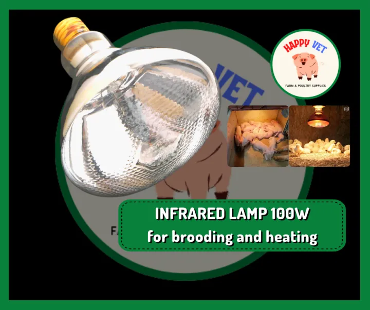 BROODER Heat LAMP Bulb 100 watts for animals Happy Vet Heat lamp for
