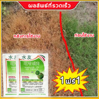 【ซื้อกี่แพ็คและรับฟรีกี่แพ็ค】ไม่ทำร้ายข้าว! ยาคุมหญ้าข้าว คุมฆ่าในนาข้าว เข้มข้นสุดๆ 10g กำจัดหญ้าในนาข้าว นาหว่าน หญ้าข้าวนก วัชพืชใบกว้าง หญ้าแห้วหมู ฆ่าหญ้า