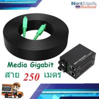 250 เมตร + Gigabit Media Converter 10/100/1000 Mbps (สายมีลวดสลิงแบบ outdoor)