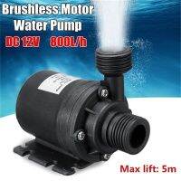 อัลตร้าที่เงียบสงบ DC 12V 800L ในบ้าน/ชั่วโมงปั๊มน้ำมอเตอร์กันน้ำไร้แปรงถ่านแบบพกพา5เมตรสำหรับระบบระบายความร้อนน้ำพุเครื่องทำความร้อนแบบพกพา Montagu.