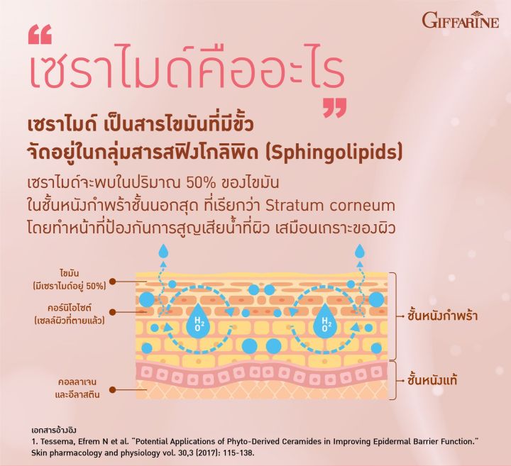 ส่งฟรี-ผลิตภัณฑ์เสริมอาหาร-น้ำมันจมูกข้าวสาลี-ผสม-สารสกัดจากข้าวสาลี-น้ำมันมะกอกธรรมชาติ-และวิตามินอี-ชนิดแคปซูลนิ่ม