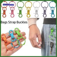 OVCHED SHOP ฮาร์ดแวร์ อุปกรณ์เสริมอะไหล่กระเป๋า DIY พวงกุญแจ ปลอกคอ Carabiner Snap สายรัดกระเป๋า ตะขอ กุ้งก้ามกราม