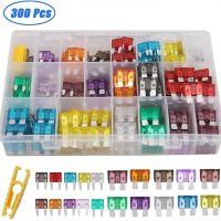 100/220/300PCS Car Blade Fuse Assortment Kit Auto Truck Automotive Medium Small Fuse Mixed Motorcycle Circuit Fuse with Box Electrical Circuitry Parts