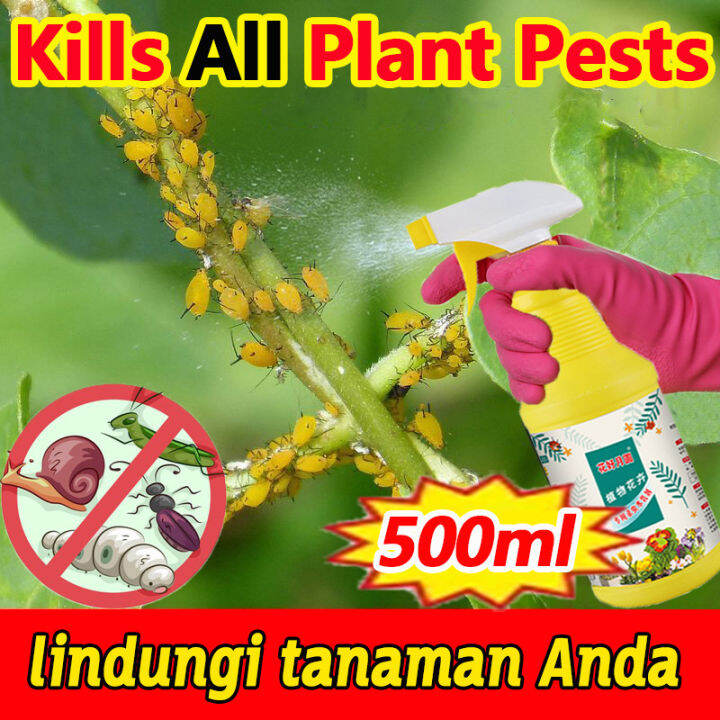 Menanam Insektisida Organik 500ML Pestisida Untuk Tanaman Insektisida Organik Insektisida Untuk ...