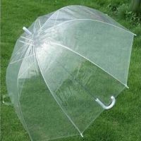 Fashion Transparent Clear Bubble Dome Shape Umbrella Outdoor Windproof Umbrellas Creative Mushroom Arched Princess Decoration