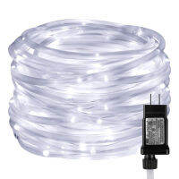 Outdoor Rope Lights 10-40M Waterproof Tube String Lights 8 Modes 4.5V Plug for Garden Yard Path Fence Stairs Party Decorations