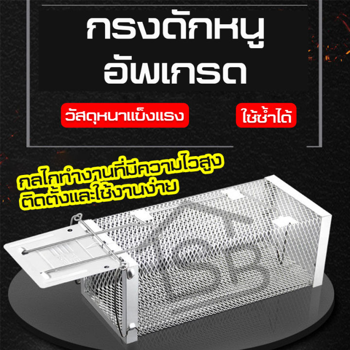 กรงดักหนู-แข็งแรง-ทนทาน-กับดักหนู-ที่ดักหนู-กรงหนู-กรงดักหนูแบบสปริง-กรงดัก-กลไกทำงานไว