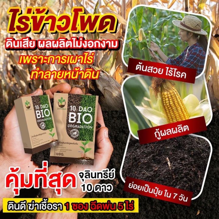 10ดาว-ไบโอ-bio-ช่วยย่อยสลายใบไม้-ฟางข้าว-ซังข้าว-ไม่ต้องเผา-ปลอดสารเคมี