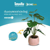 "ต้นมอนสเตอร่าประดิษฐ์ HOOMDOT  สูง 40 cm #NAL21-3413"