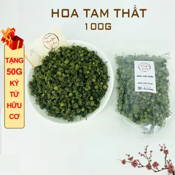 Phân ưu đường nụ tam thất bao tử và công dụng sức khỏe