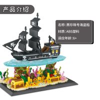 Caribbean Corsair, Black Pearl, Queens Grand Sailing, ประกอบ, ตกแต่งโต๊ะ, ของขวัญวันเกิด