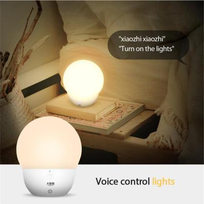 LED intelligent voice lamp call command to control night light garland anime cute Smart home decoration accessories