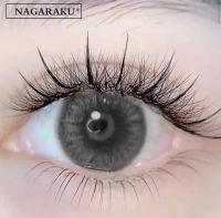 ขนตา ขนตาปลอมต่อขนตา ขนตาหางปลา Nakaragu C0.07 mix 8-15mm