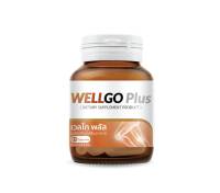 ✅ของแท้ ?%✅ WELLGO PLUS ผลิตภัณฑ์เสริมอาหาร กระดูก 1 กล่องมี 15 แคปซูน