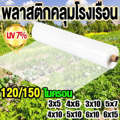 พลาสติกคลุมโรงเรือน โรงเรือน พลาสติกโรงเรือน ขนาด 3x5 4x5 3x10 4x10 5x7 5x10 6x10 6x15 พลาสติกใสโรงเรือน PE พลาสติกโรเรือน พลาสติกใสคลุม กันสาด ปูบ่อ Green House พาสติกโรงเรือน สีใส โรงเรือนแคคตัส คลุมหลังคา พลาสติกใสกันฝน พลาสติกโรงเรือน โรงเรือน