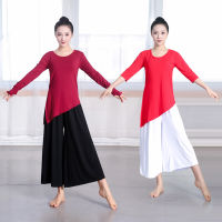 Dancing Dress Female Ethnic Modern Dance Modal Training Clothes Top Classical Body Training Clothing Latin Dance Suit