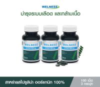 [3ขวด] WELNESS SPIRAL 100 เม็ด ผลิตภัณฑ์เสริมอาหารสาหร่ายสไปรูลิน่า 100%  สาหร่ายเกลียวทอง ปรับสมดุลให้ร่างกาย สร้างภูมิคุ้มกัน