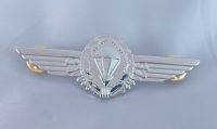 tomwang2012.German Germany Army Airborne Jump Parachutist Full Size silver Metal Wing Badge