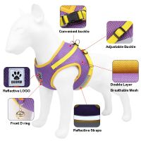 Reflective Safety Vest Pet Dog Harness Leash Set for Small Medium Dogs Cat Puppy Chest Strap Pug Chihuahua Bulldog Leashes