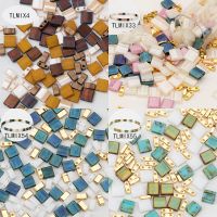 Taidian Miyuki Tila Beads Multi Color Size Mixed DIY Gifts Beadwork Making Earring Bracelets Bohostyle 5Garms/Bag Japan Beads Beads