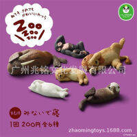 ของเล่นแคปซูล Japanese Panda Cave Sleep Zoo Hippo Walrus Lion Without Shell