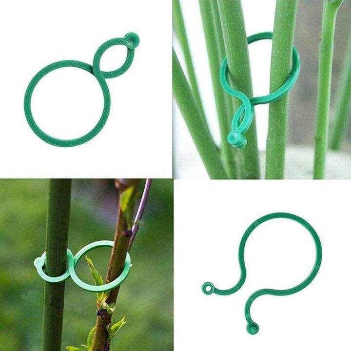 50PC Garden Vine Strapping Clips Fixture Vine Garden Decor Accessories ...