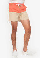 Zalora Basics - Two Tone Shorts