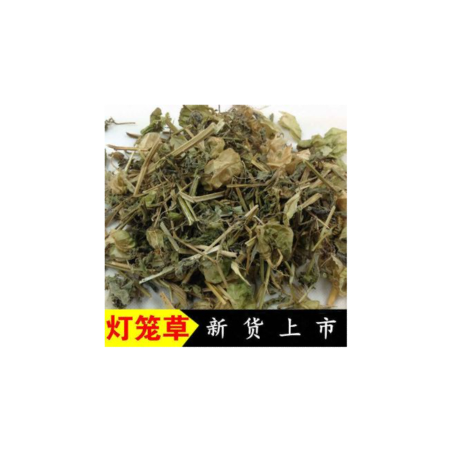 灯笼草 Clinopodium polycephalum 100g+- | Lazada