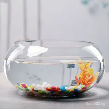 Glass Fish Bowl - Best Price in Singapore - Apr 2024