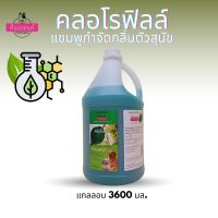 แชมพูสุนัขท็อปเซนท์ สูตรคลอโรฟิลล์กำจัดกลิ่นตัวสุนัข 3.6 ล.  TOPSCENT SHAMPOO FOR DOGS.