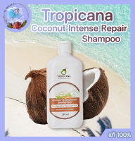 ทรอปิคานา แชมพูสูตรฟื้นบำรุงผมแห้งเสีย Tropicana Virgin Coconut Oil Coconut Intense Repair Shampoo 290ml