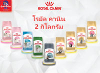 Royal Canin โรยัล คานิน อาหารแมว [บริติช ช็อตแฮร์] [เปอเซีย] [ลูกแมว] [แมวโต] แบบเม็ด 400กรับ - 2 กิโลกรัม