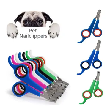 Dog Nail Clipping Doesn't Have To Be STRESSFUL... - YouTube