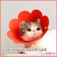 Golden คอลล่าแมว  คอลล่าสุนัข  ปลอกคอดอกไม้ ปลอกคอกันเลีย Cat coll