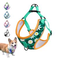 Dog Harness Leash Set Breathable Adjustable Pet Harness Vest for Small Dog Cat Chest Outdoor Walking French Bulldog Pet Supplies Leashes