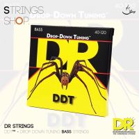 สายเบส DR DDT Stainless Bass String | Strings Shop