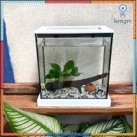 Betta Corner Set ตู้ปลาขนาด 4*8*8 ฐานสีขาว พร้อมของตกแต่งในตู้ หิน ต้นไม้ผูกขอน + โอ่งจิ้ว ยอดขายดีอันดับหนึ่ง