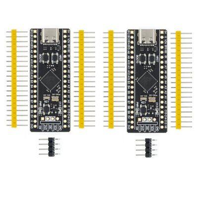 2Pcs STM32F411 Development Board, STM32F411CEU6 STM32F4 Learning Board, Support for Programming