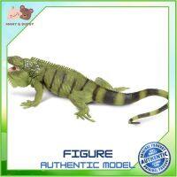 Safari Ltd. : SFR267729 โมเดลอิกัวน่า Iguana ถ้วยหัดดื่ม แก้วหัดดื่ม ช้อมส้อมเด็ก ชุดจานเด็ก จานชามเด็ก ชุดถ้วยจานเด็ก ชุดจานชามเด็ก Mamy and Buddy